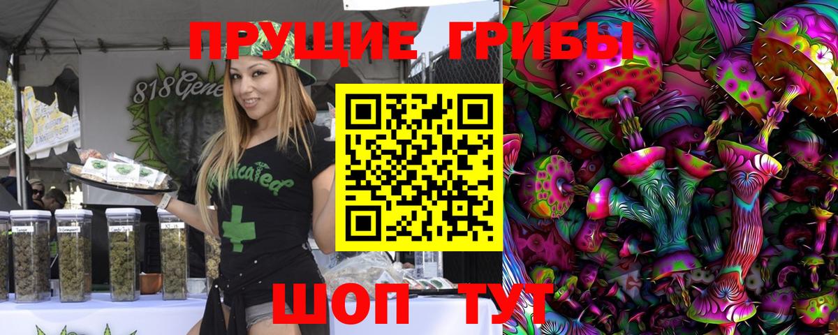 Псилоцибиновые грибы Psilocybine cubensis Верхняя Пышма